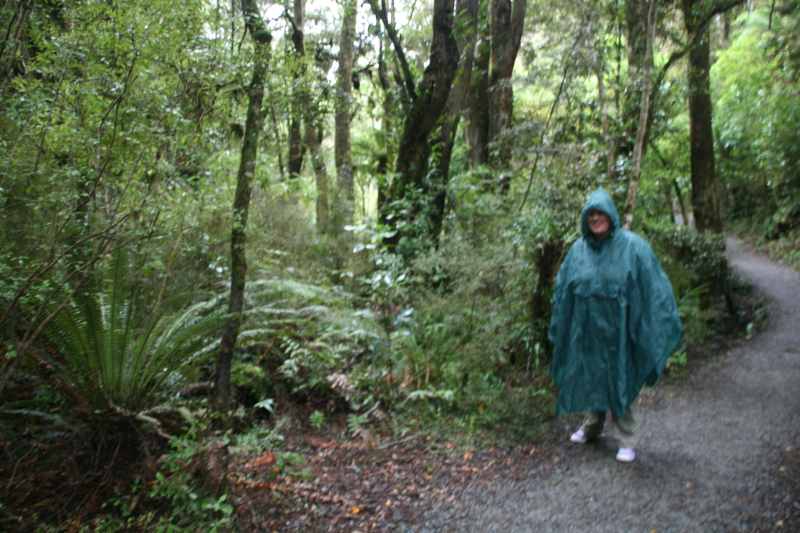 Nieuw-Zeeland 2011 - 1890